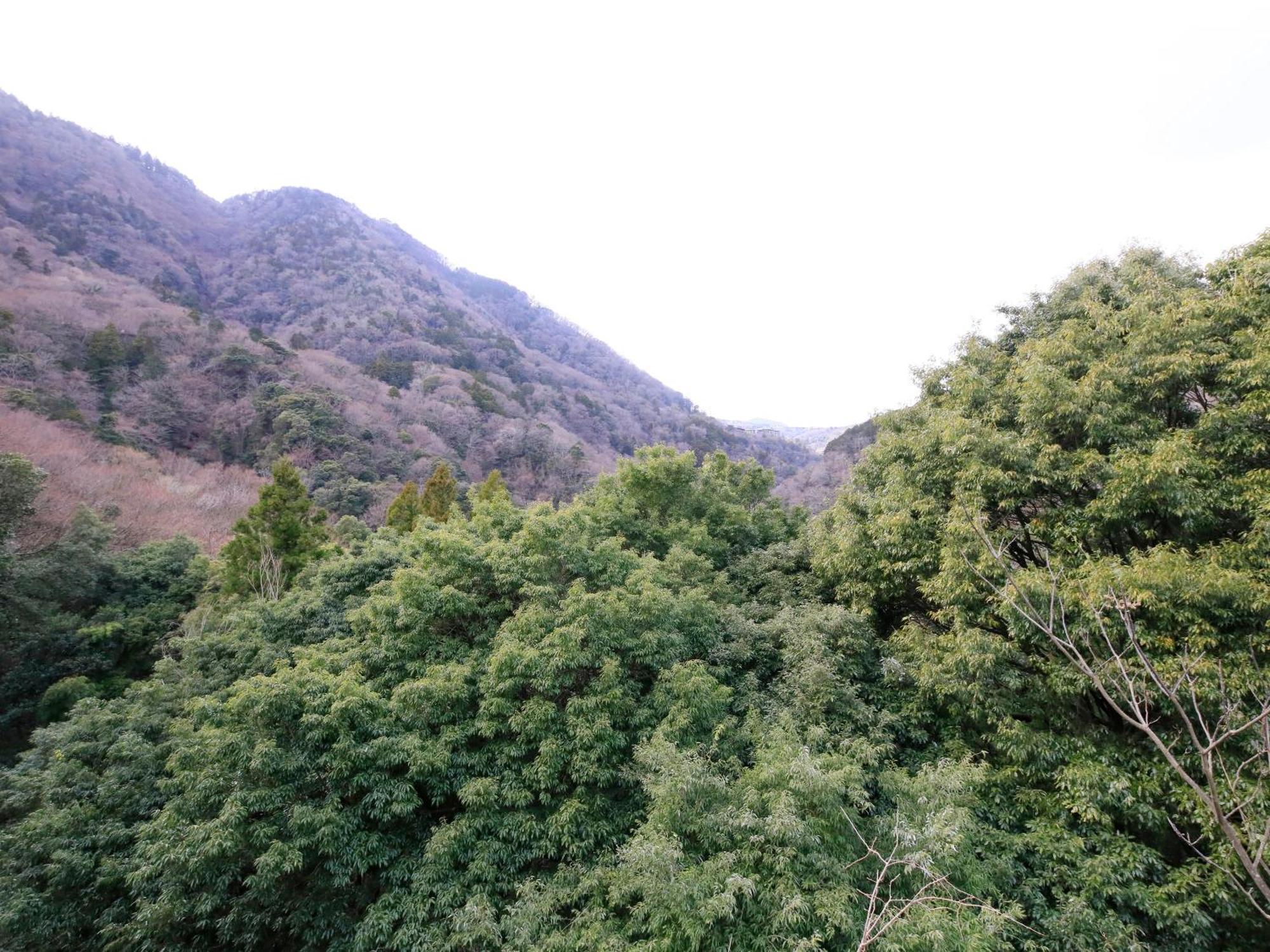 Hot Spring Inn Hakone Suisen Exterior foto
